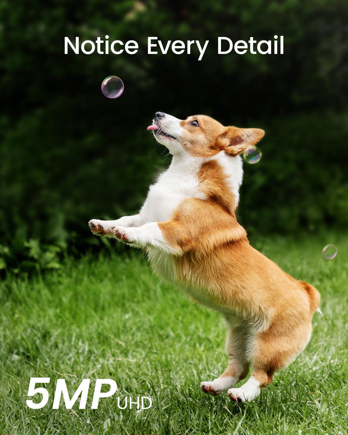 SolarCam System Max + Video Doorbell Ultra